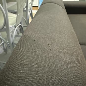 İstikbal Kedi Testinden Geçen Koltuklar Beklentimi Karşılamadı
