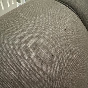 İstikbal Kedi Testinden Geçen Koltuklar Beklentimi Karşılamadı