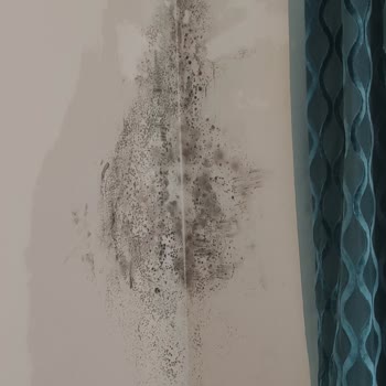 Simurg Halal Luxury Hotel Zimmer verschimmelt, Pool klein und schlechter Service