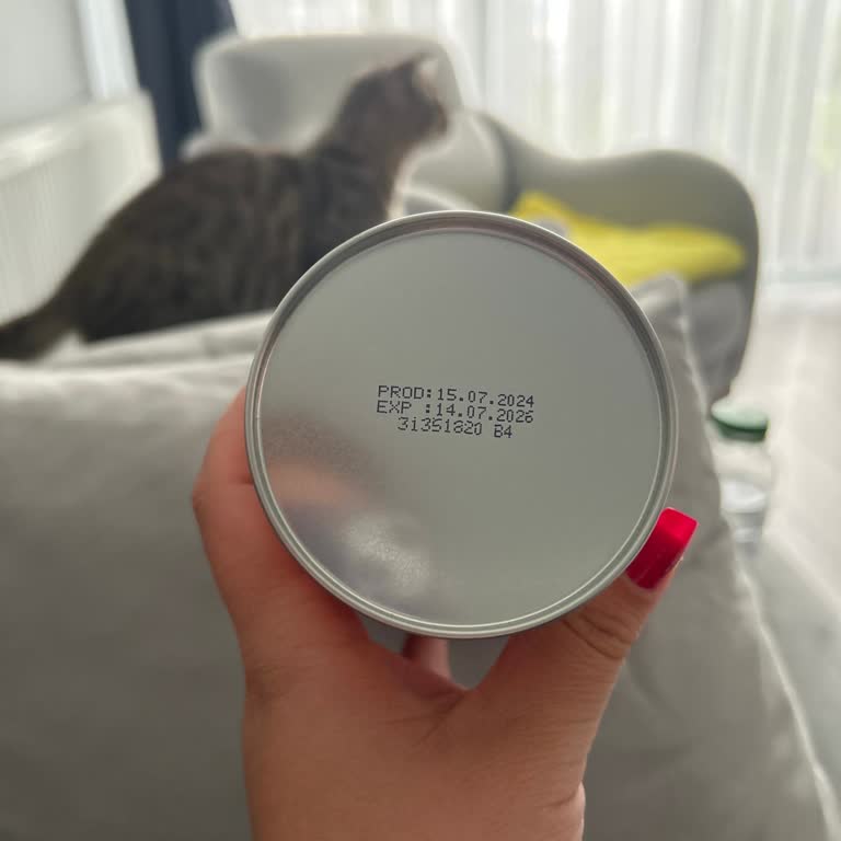 Master Potato Bir Daha Almam Gözümden İyice Düştü