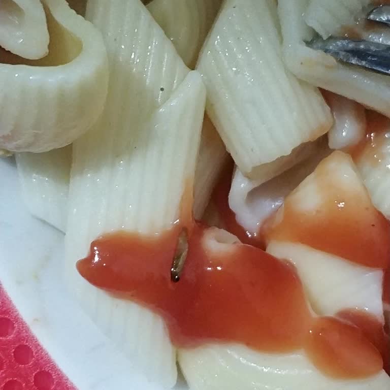 Burcu Gıda Markadan Kurt Çıkan Ürün Şikayeti