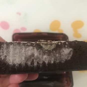 Eti Gıda Üründe Mantarlaşma Küf Oluşumu