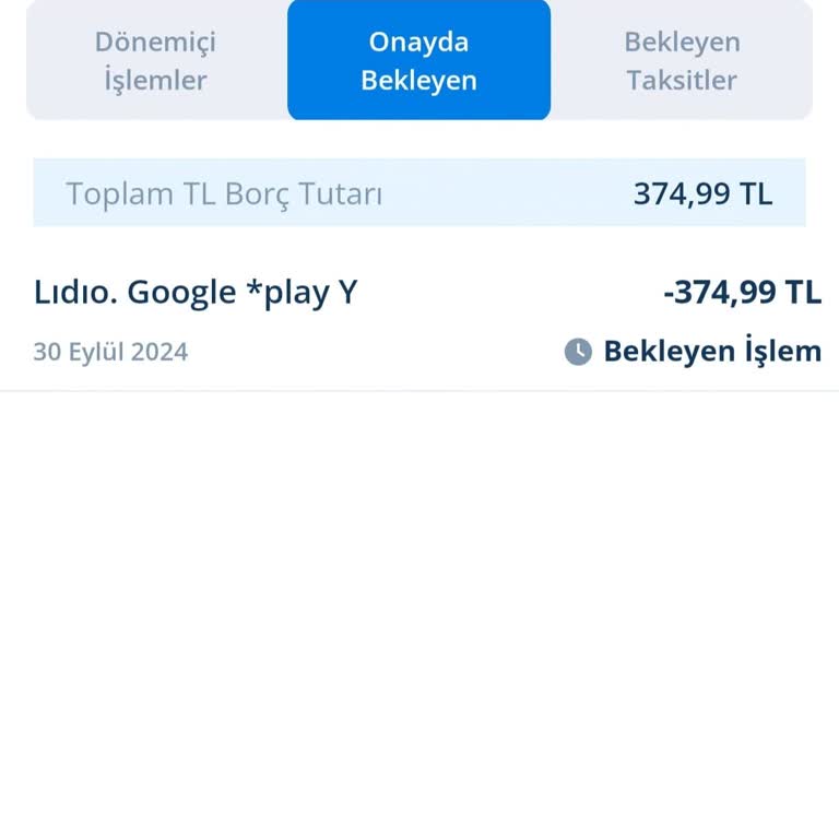 Lidio Ödeme Hizmetleri Rızasız Çekilen Tutar