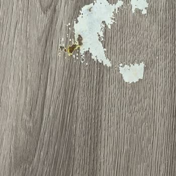 Bellona Tam Bir Hayal Kırıklığı