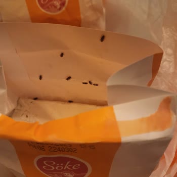 Migros'tan Aldığım Un Paketlerinde Böcek Sorunu