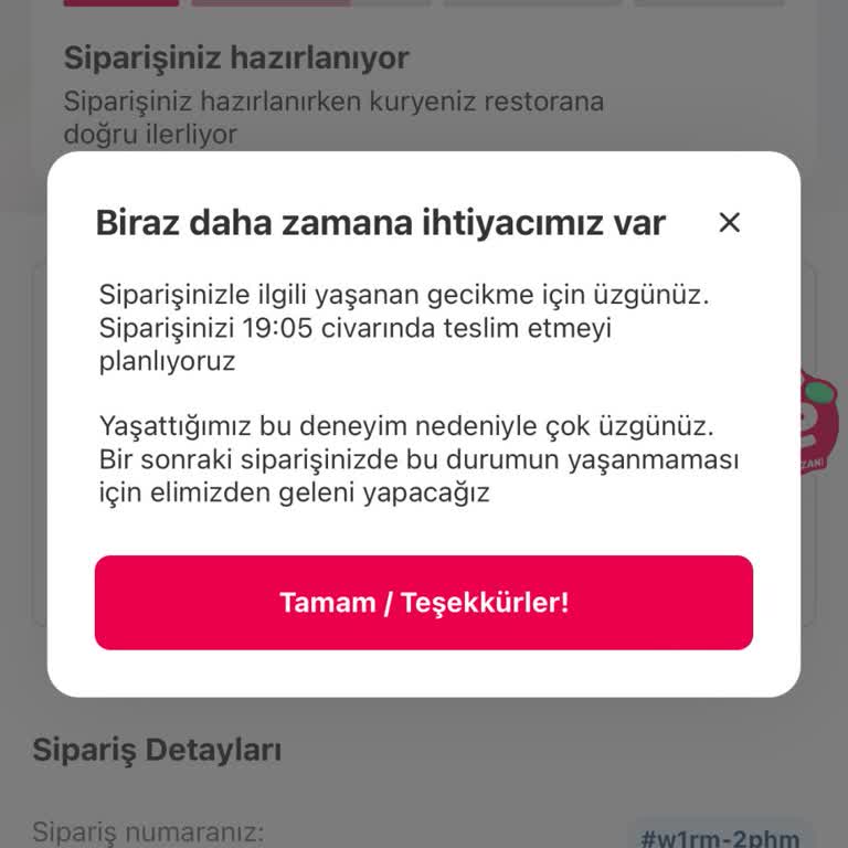Yemeksepeti Carls Jr Siparişimde Büyük Gecikme Ve İletişim Sorunları