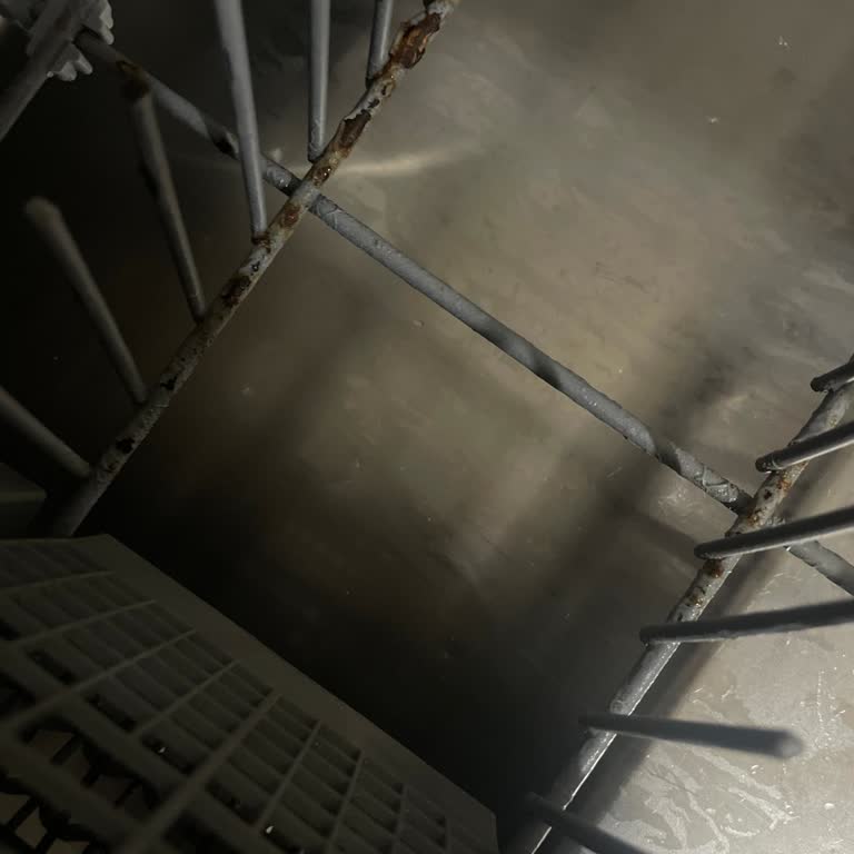 Arçelik Bulaşık Makinesi Sepetinin Paslanma Sorunu