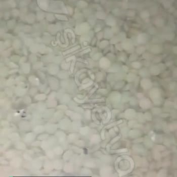 A101 Yöremce Yeşil Mercimekten Böcekler Çıktı!