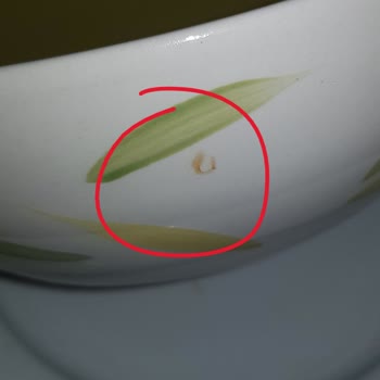 Vestel Bulaşık Makinesi Pas Lekesi Bırakıyor. Tamiri Yok!