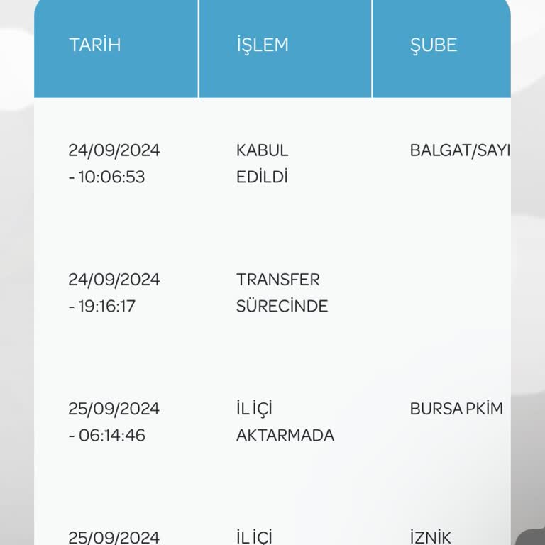 Turpex PTT PTT Kargo Teslim Süresi Uzunluğu