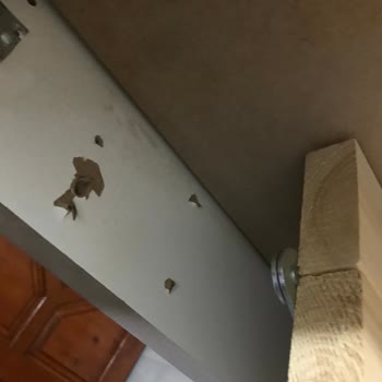 Koçtaş Online Sipariş Ve Mağazadan Teslim Almak Çok Kötü