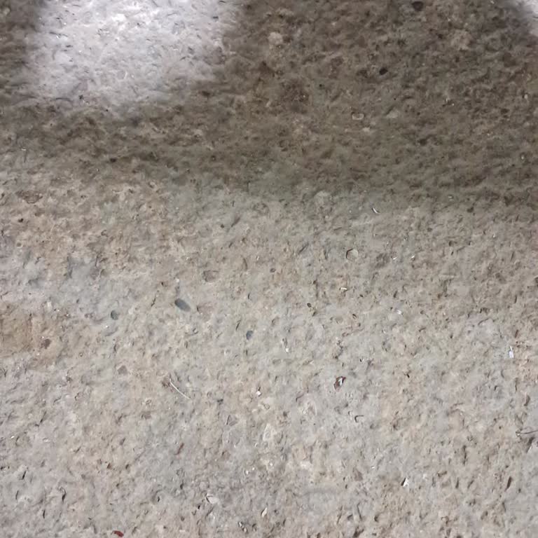 Altınordu Belediyesi İlaçlama İstiyoruz Lütfen