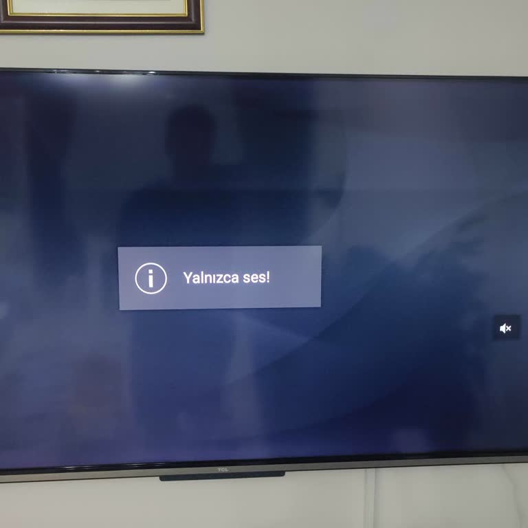 TCL Televizyon TCL Marka Televizyon Ekranı Sıkıntısı