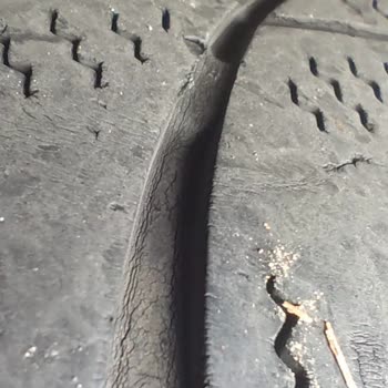 Garenta Tehlikeli Araç Ve Kötü Hizmet Deneyimi