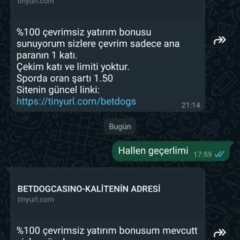 Betdog Kazanç Bakiyemi Sıfırladı