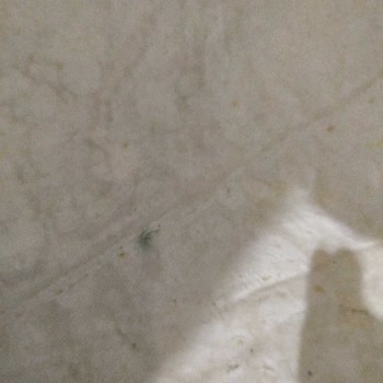 Yemek Sepeti Çiğköfte