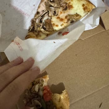 Dodo Pizzadan Böcek Çıktı