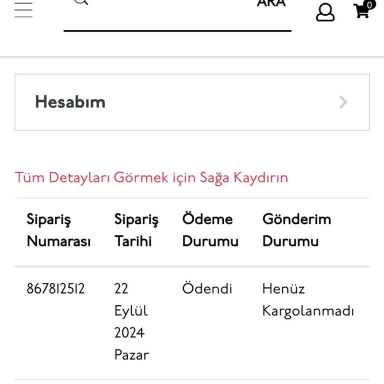 Yargıcı Online Sipariş Sorunu