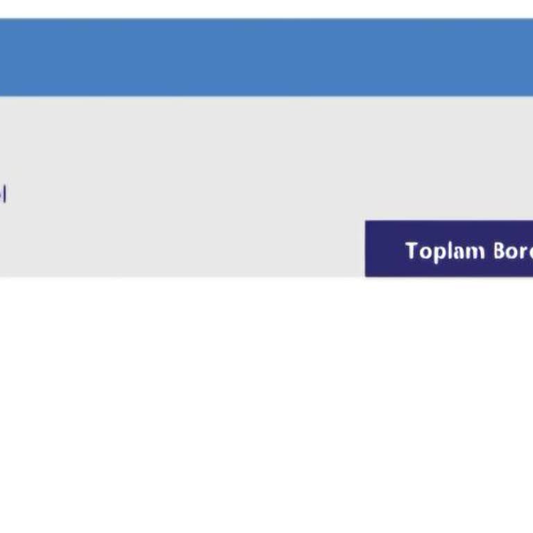 Türk Finansman A. Ş. Yasal Takip Borç