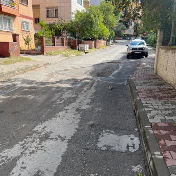 Kartal Belediyesi Ne Petrol İş