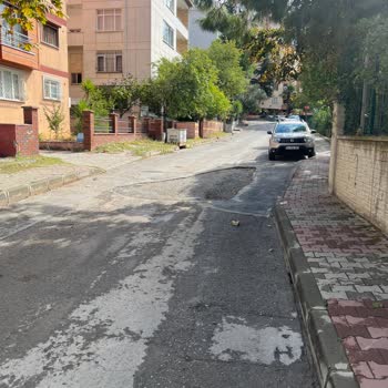 Kartal Belediyesi Ne Petrol İş
