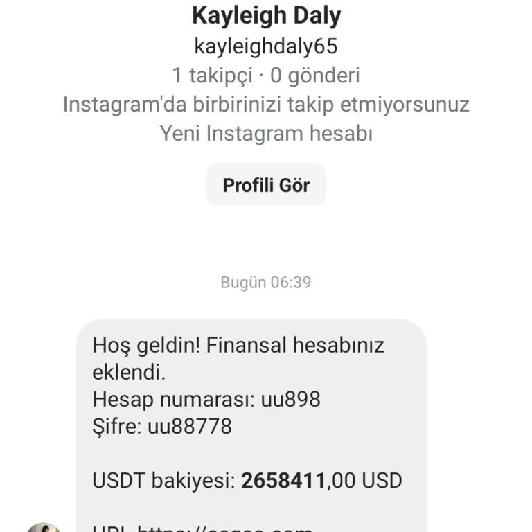 Meta Yanlış Hesap Bilgisi Ve İlgisiz Mesajlar İçin Şikayet