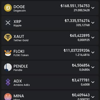 Bitay Borsası Para Transferi