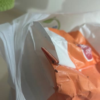 Söke Un Unun İçinde Kaynayan Böcekler