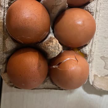 Migros'un Müşterisini Mağdur Etmesi