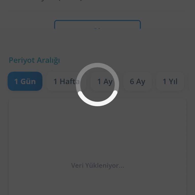 Denizbank Düzgün Çalışmayan Uygulama Sorunu