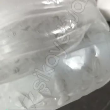 Beysu Suda Yüzen Yeşil Parçacıklar