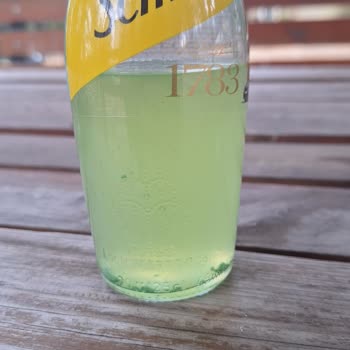Schweppes Bitter Lemon İçindeki Tanımlayamadığım Plastik Parçalar.