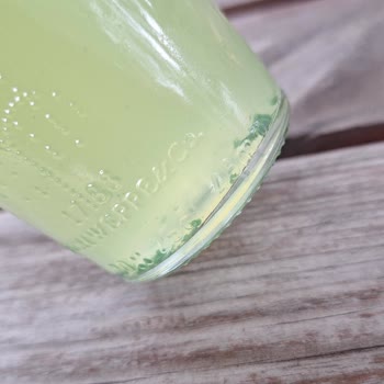 Schweppes Bitter Lemon İçindeki Tanımlayamadığım Plastik Parçalar.