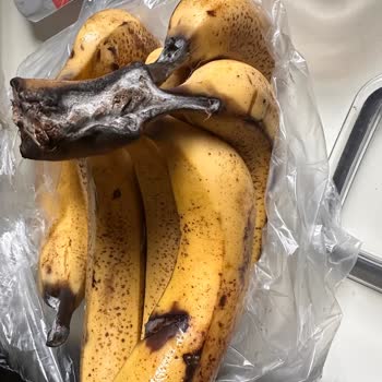 Migros Sanal Market Küflü Muz Göndermiş!