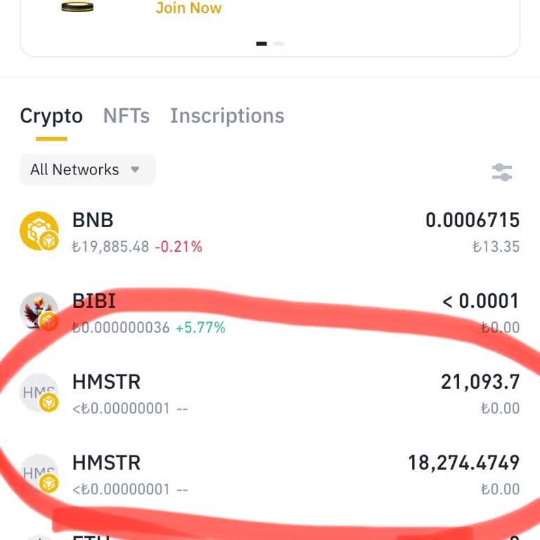 Binance Coin Karşılığı Bulunmaması