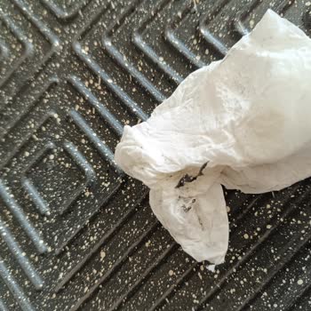 Schafer Tost Makinesi Kalite Sorunu