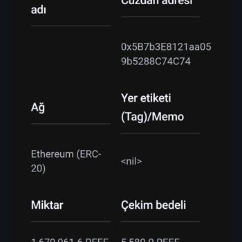 Paribu Firmanın Hatalı Transferi