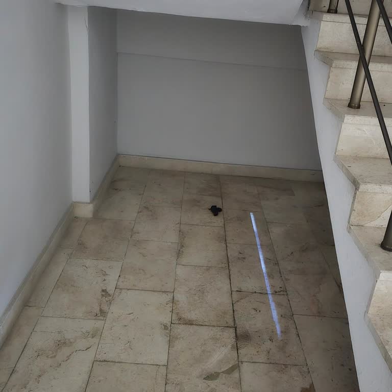 RooGo Siteye Büyük Tuvaletini Yapan Kurye