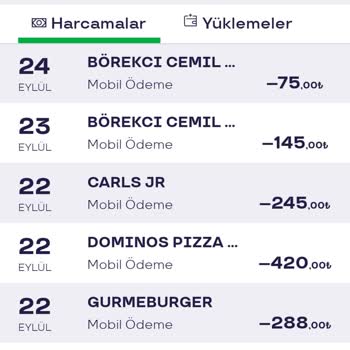 Domino's Pizza Gültepe Şubesi Sorumsuzluğu