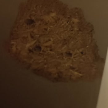 Taşpınar Alışveriş Merkezleri Taşpınar Armi Yatak Odası