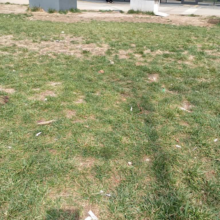 Gaziantep Şehir Hastanesi Doğum Ameliyatı İçin Bekleme Salonu Sorunu