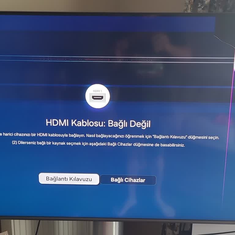 Samsung 50Q67C QLED TV Panel Ekran Arızası