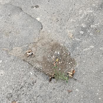 Ümraniye Belediyesi Ümraniye'de Yetersiz Temizlik Hizmeti