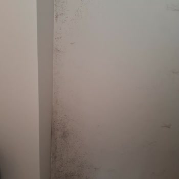 Türkiye Sigorta Evimde Oluşan Hasar Rutubet