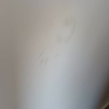 Modalife Mobilya Problemli Montaj Hizmeti