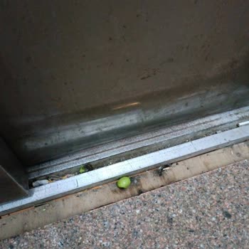 Jura Hotels Bodrum Resort Hayal Kırıklığı Yaratan Bir Tatil Deneyimi