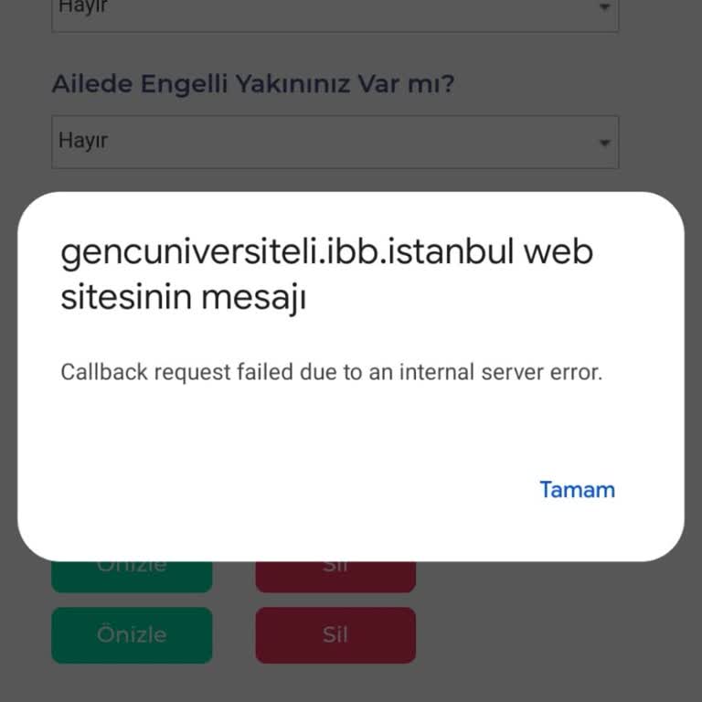 İBB Genç Üniversiteli Burs Başvurusunda Belge Hatası
