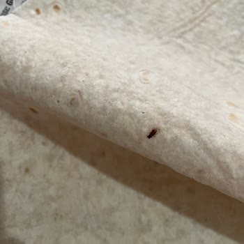 A101 Ölü Böcekli Ürün Satıyorlar!