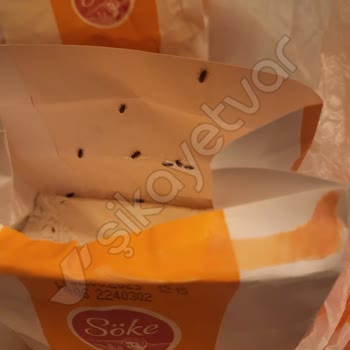 Söke Un Migros'tan Aldım Böcek Dolu Çıktı