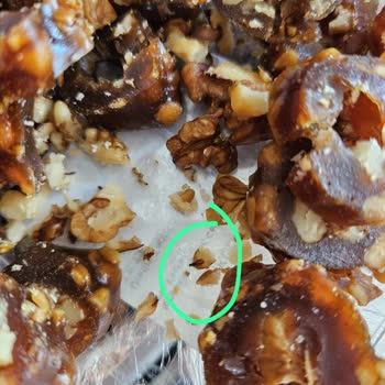 Carrefour SA Marketten Aldığımız Cevizli Köme Den Bir Sürü Böcek Çıktı